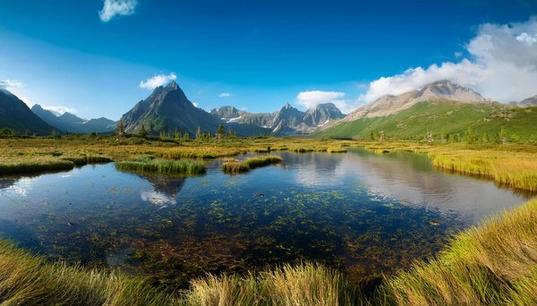 Les visites guidées insolites à ne pas manquer